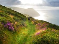 Campaign for National Parks says nature is facing ‘crisis’ on Exmoor