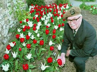 Tulips mark Dunster's Dutch link