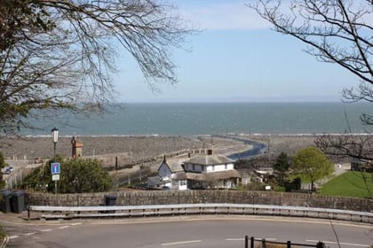 What's On: Berry Swim Cup Race & Fun Swim in Lynmouth Harbour