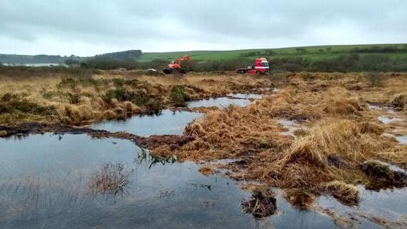 exmoor mires project case study a level geography