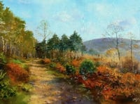 Exmoor artist's exhibition