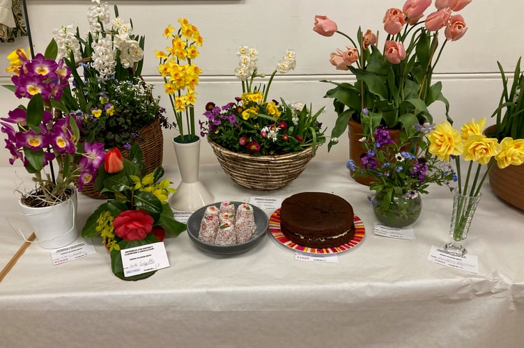 Minehead Gardening Club