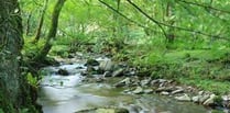 National Trust's array of wildlife activities at Horner Wood 