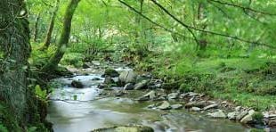 National Trust's array of wildlife activities at Horner Wood 