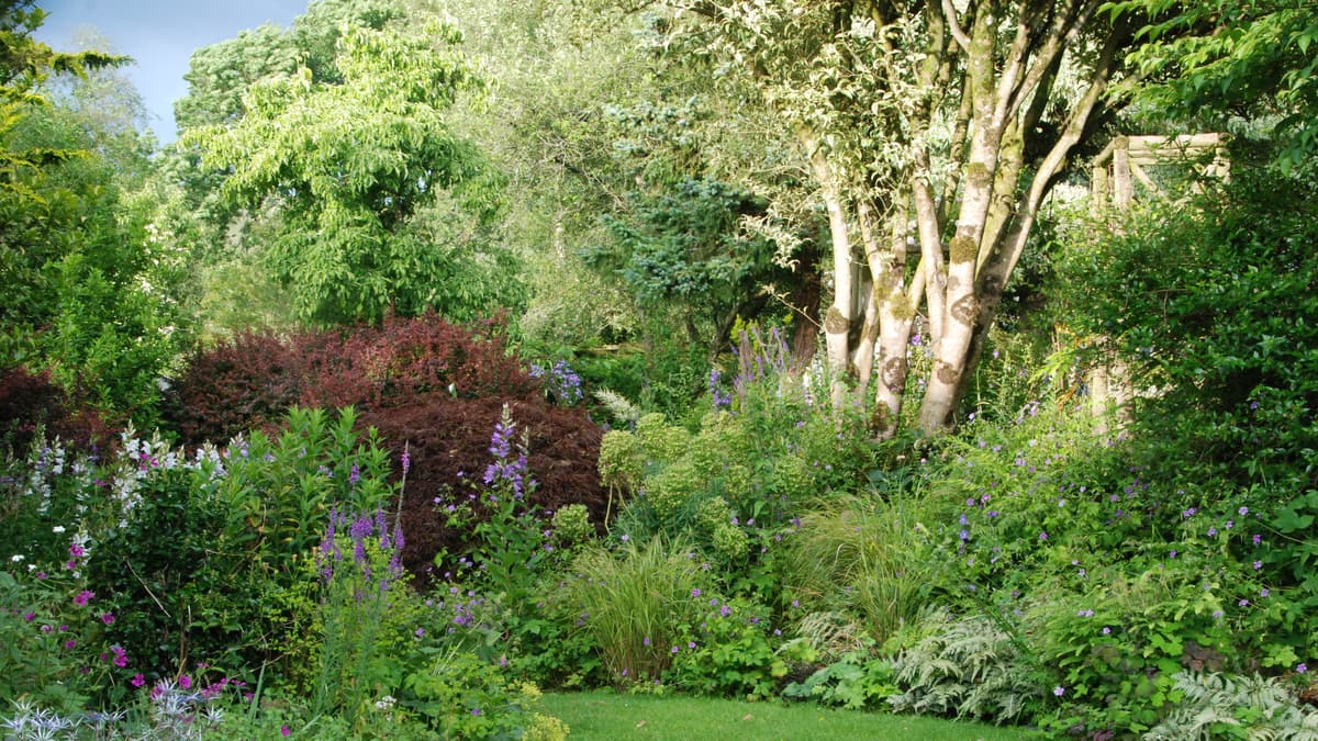 Chance to view gardens in Stogumber | wsfp.co.uk