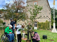 Special tree gifted to thank Somerset team for planting