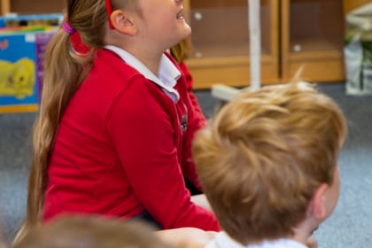 Somerset children 'have good access to primary schools'