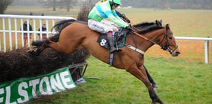 Excellent racing at Cothelstone point to point 