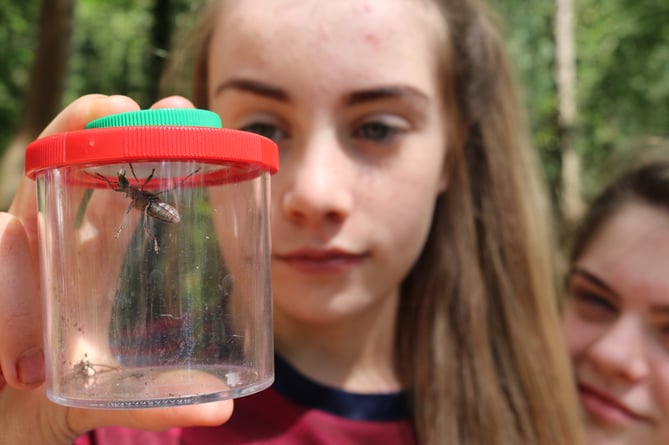 Nettlecombe Court Field Studies Council nature education 80th anniversary