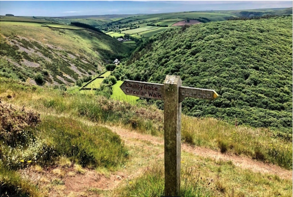 Exmoor view