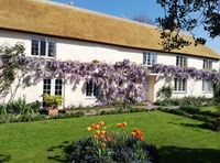 Great Somerset gardens to visit this Summer 