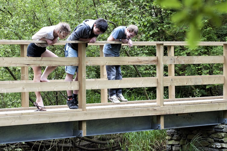 Children playing 'Pooh Sticks' under a bridge