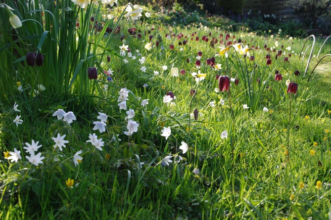 A view of the garden at Elworthy Cottage, Elworthy,