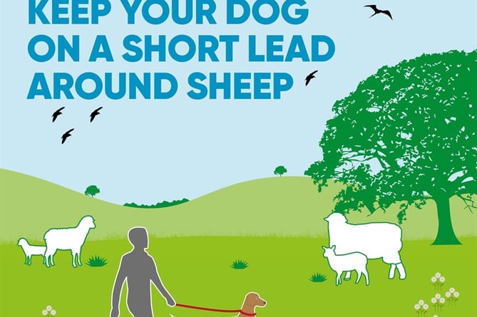 National Farmers' Union poster warning dogs should be on  leads around sheep.