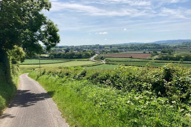 View of Williton from Copse Grove - Daniel Mumby