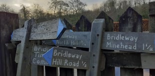 'Seed to sawmill' trees celebration