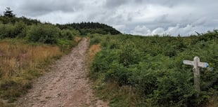 Forest site visit to hear future management plans