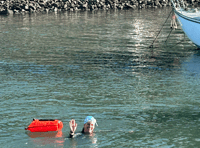 'English Channel' swim ends in Porlock Weir