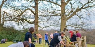 Funds and advice available to help you plant trees