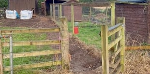 Appeal to help revamp school farm