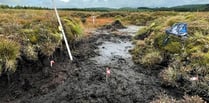 Somerset Wildlife Trust calls on Government to ban peat sales