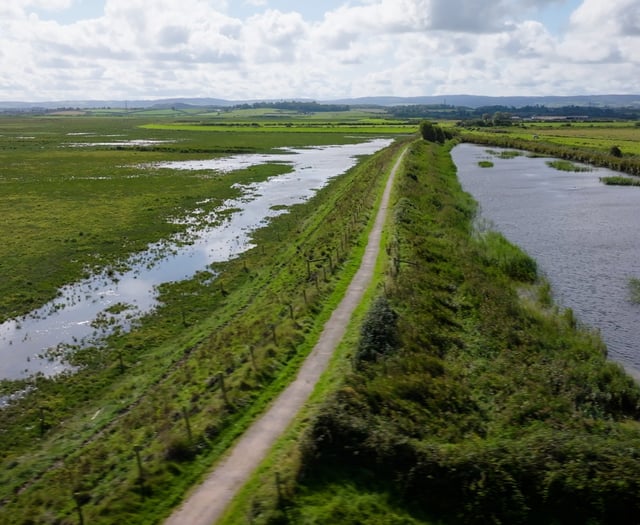 Plans to create new wetland slammed as 'waste of £40 million'