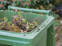 Sign up for garden waste recycling collection anywhere in Somerset