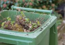 Sign up for garden waste recycling collection anywhere in Somerset