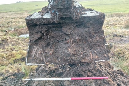 Peatland 'time capsule' gives glimpse of Neolithic Exmoor