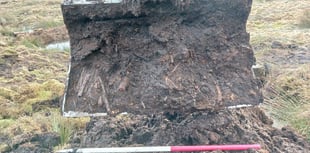 Peatland 'time capsule' gives glimpse of Neolithic Exmoor