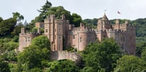 Dunster Castle offering guided later summer garden walks