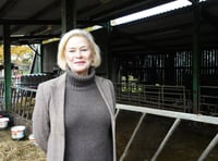 Would-be MP fears hill farmers will be forced to sell up