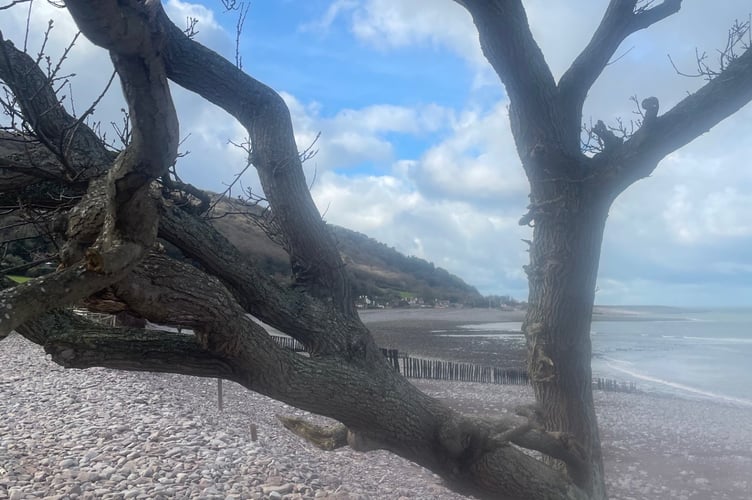 Porlock Weir