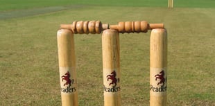 Somerset submit bid for professional women's cricket