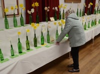 Successful village spring flower show