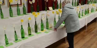 Successful village spring flower show