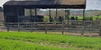 Police appeal after arsonist destroys barn