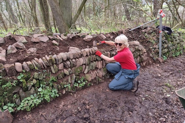 Volunteer working on a dry stone wall in Selworthy (National Trust Images)