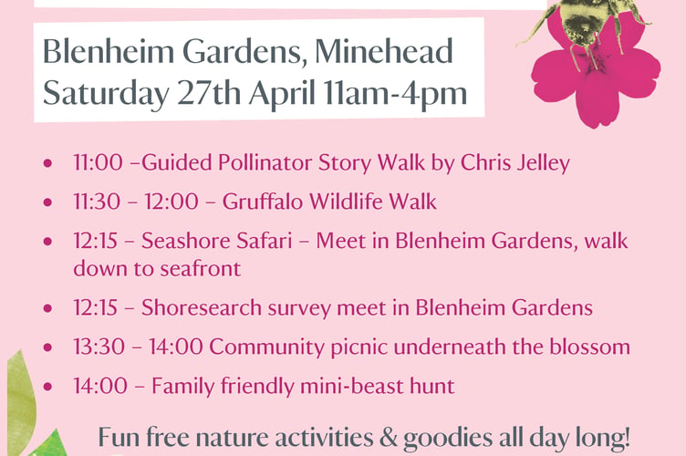 Spring blossom event Minehead