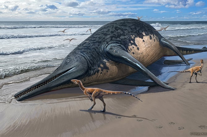 A washed-up Ichthyotitan severnensis carcass on the beach. By Sergey Krasovskiy. 