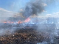 Acres of crops destroyed in separate field fires