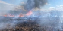 Acres of crops destroyed in separate field fires