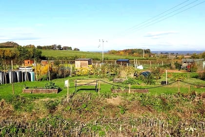 Village gardeners hit by 'copycat' thefts