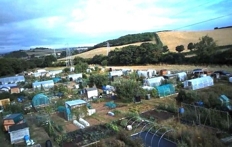 Thieves have struck at Williton's allotments.