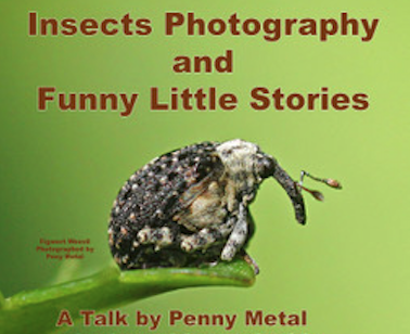 Insect photographer to talk to villagers