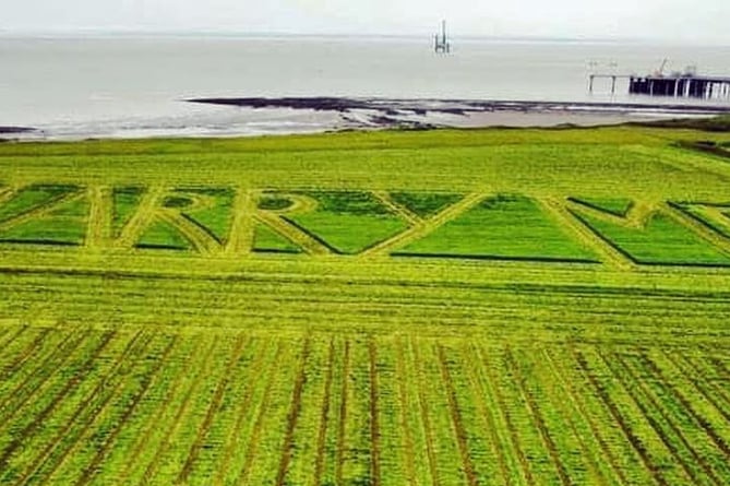 Tom Heal 'Marry Me' mowing. Photo released May 22 2024. A farmer proposes to his fiancé - by mowing 'marry me' into his field.Chloe Morley, 27, was left 'shaking' with joy after her fiancée, Tom Heal, 30, proposed to her in a way that was extremely close to home.Chloe and Tom, who have been together for four years, shared the beautiful memory together at sunset on Friday 17 May in Somerset.As Tom had pretended to leave his dinner at home, Chloe walked down to his field, near Hinkley Point, to meet him with food.
