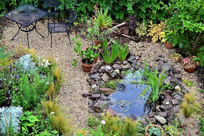 Ponds do not need to be large to attract wildlife (Photo: Harebell & Bee).