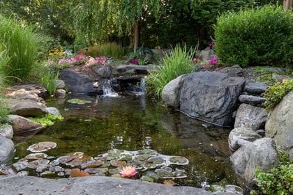 Good Gardening by Philip Greenfield - Make a splash in your garden