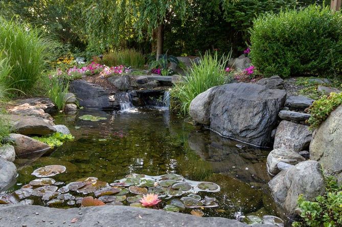 A pond can transform a garden (Photo: This Old House)