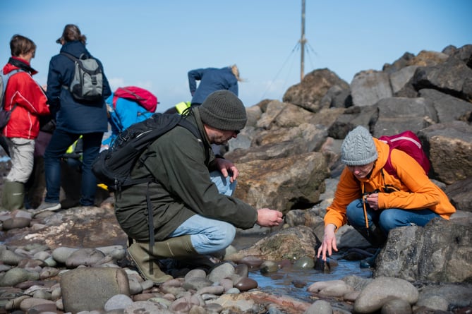 Exploring the seashore (Photo: Minehead and Coast Development Trust)